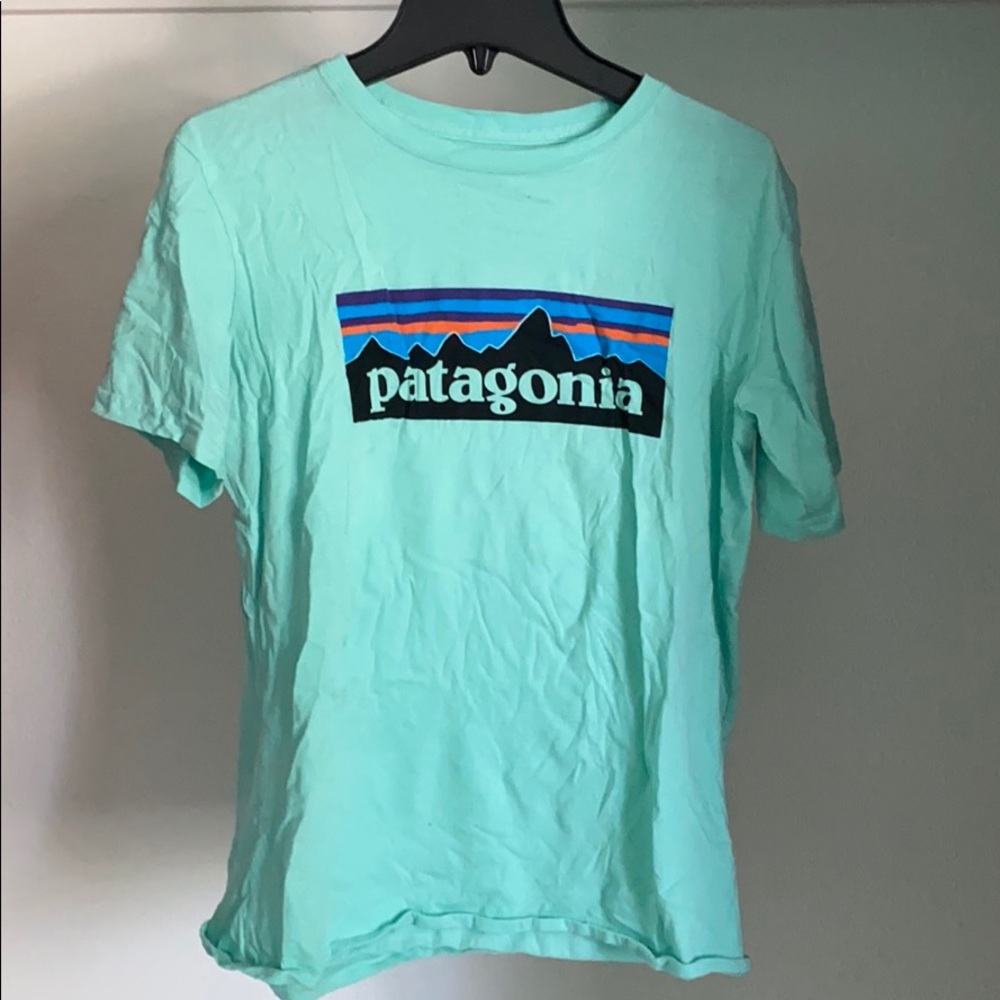 Patagonia blue tee(READ DESCRIPTION)